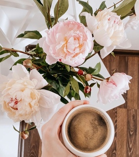 flowers, pink and white