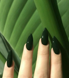 fashionable, nail and blog