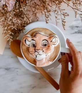 photography, le roi lion and disneyland