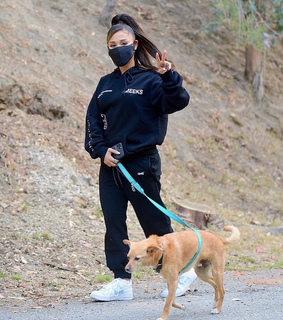 ariana icons, ariana layout and ariana grande