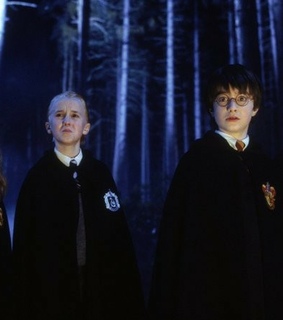 harry potter, forbidden forest and hermione