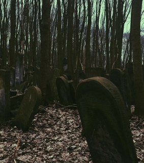 dark, bats and fondo de pantalla