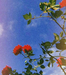 de, fondo and pantalla