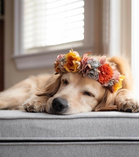 lindo, love and cute