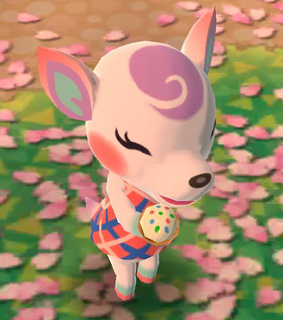 animal, cute and diana