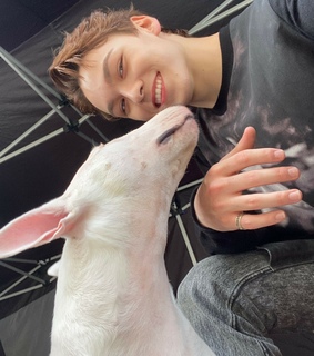 hansol chwe, chwe vernon and visual