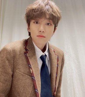 idol, svt the8 and minghao icon