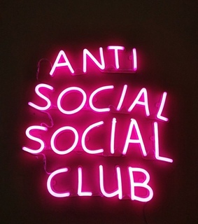 rosa, revolution and neon