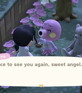 marina, new horizons and blush