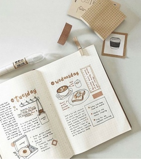 bullet journal, bujo inspo and bujo layout