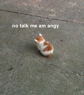 reaction, sad and angy