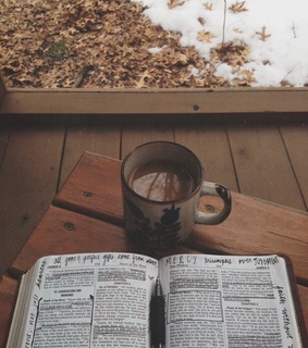cozy, autumn and leaves
