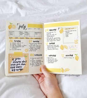 bullet journal, plans and july