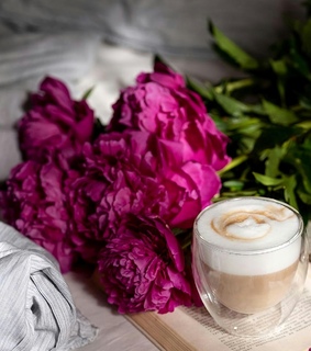 peonies, coffee and flowers