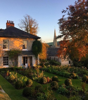 green, greenary and aesthetic