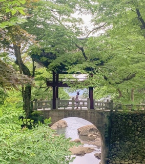 summer, green and japanese