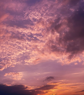 purple, cotton candy and photography