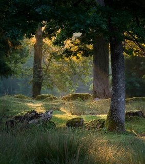 photography, linus englund and light