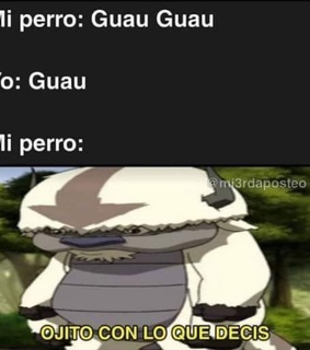 memes, perritos and momo