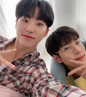 leader, soonyoung and 17