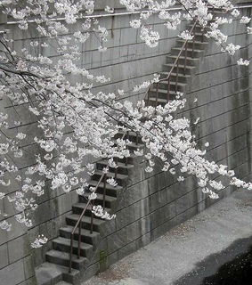 staircase, theme and urban