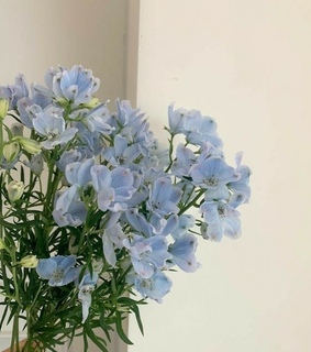 blue and white, blue and blue and beige