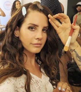 lana, twitter icons and twitter icon