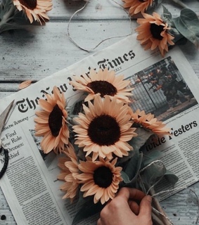 paper, news and flowers