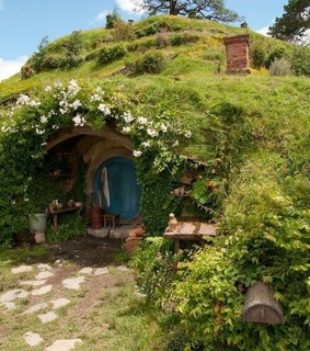 greenary, nature and aesthetic