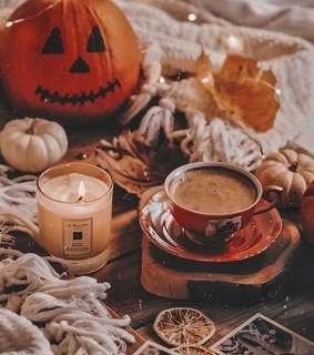 autumn, lazy day and scarf