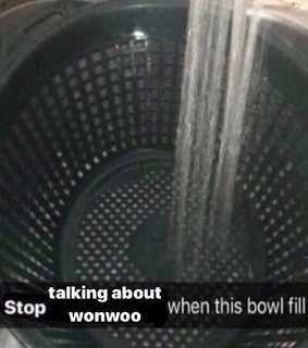 jeon wonwoo, kpop and svt meme