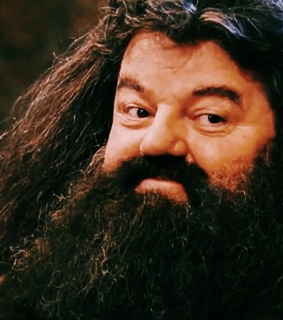 spooky, autumn and sorcerers stone