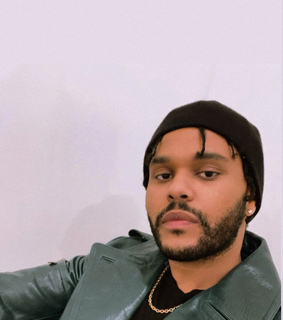 fandom, screensaver and bella hadid