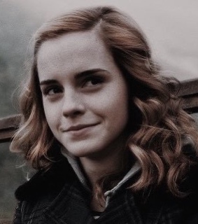 hermione granger, harry potter and hermione