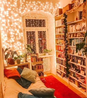 plants, beautiful and home