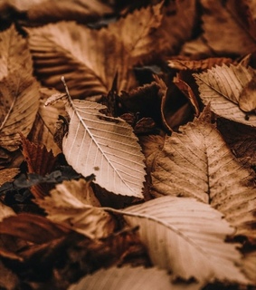 lockscreen, fondo de pantalla and wallpaper