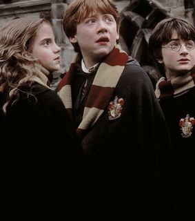 golden trio, hermione and hogwarts