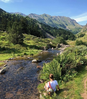cabincore, cottagecore and green