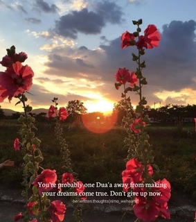 pray, nimo_weheartit and islam