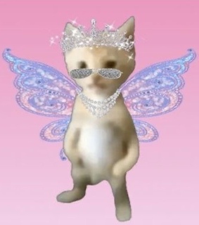 drain gang, fairy and cat