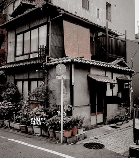 yaomomo, amino and aesthetic