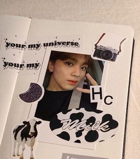 haechan, kpop merch and cowprint