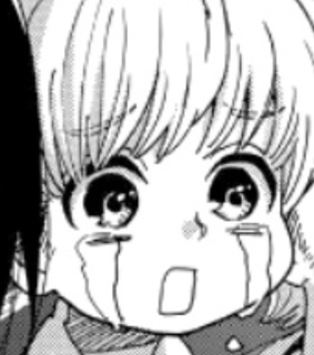 shingekinokyojin, armin and snk