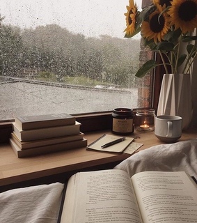 book, winter and moon