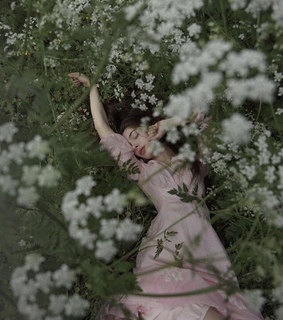 delicate, garden and white flowers
