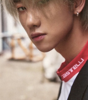 real, seo myung ho and seventeen