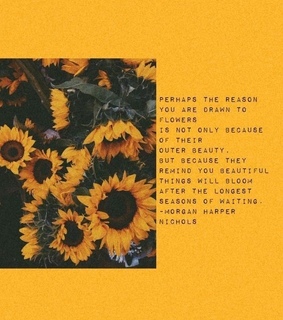 gelb, sunflower and spruch