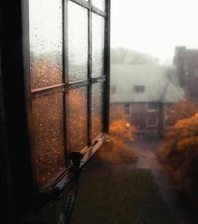 fall, autumn season and autumn weather