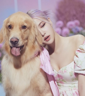 roseanne park, dog and lavender