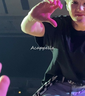 performance team, bss and hoshi